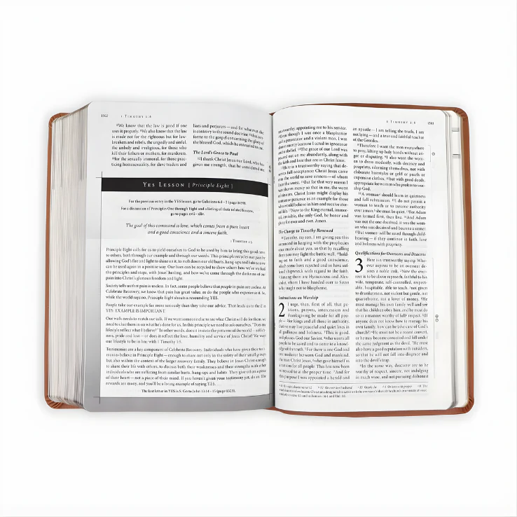 Celebrate Recovery 35th Anniversary: NIV Study Bible / Leathersoft - Image 3