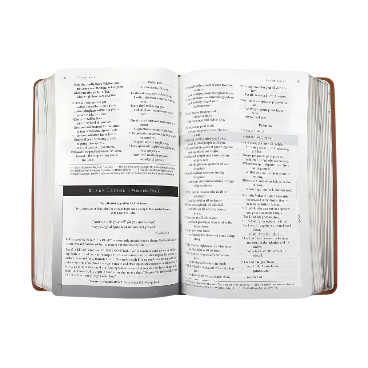 Celebrate Recovery 35th Anniversary: NIV Study Bible / Leathersoft - Image 4