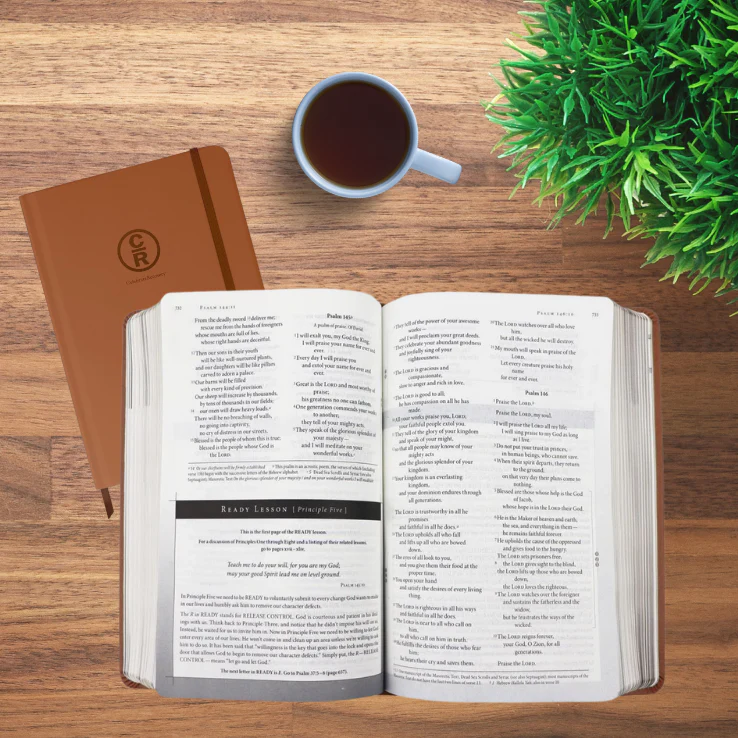 Celebrate Recovery 35th Anniversary: NIV Study Bible / Leathersoft - Image 5