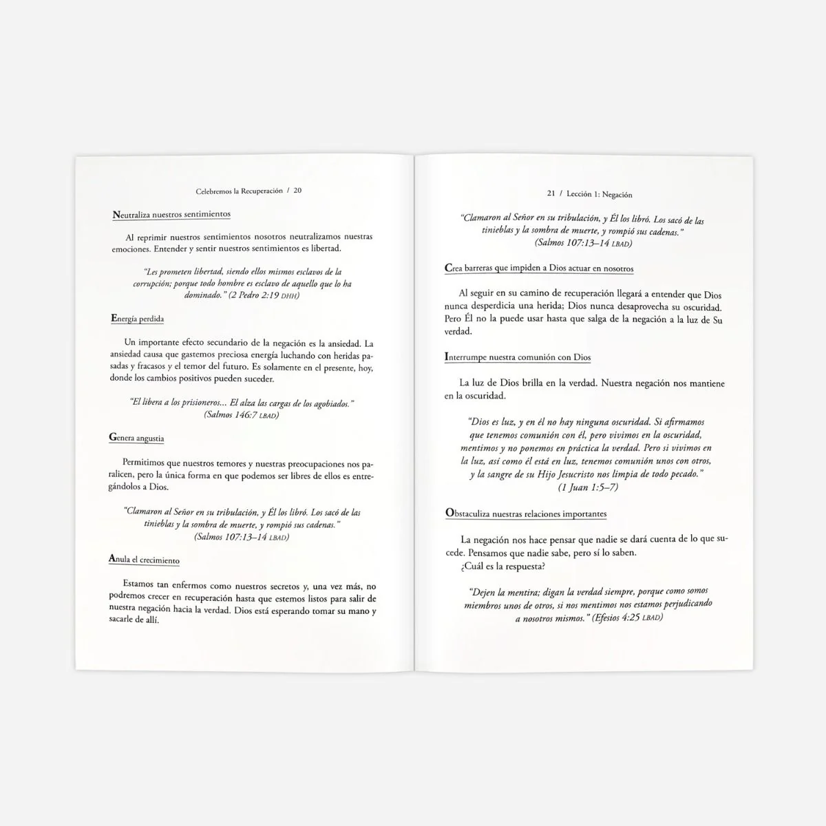 Guía 1 del Participante de Celebremos la Recuperación (Participant’s Guide 1) - Image 3