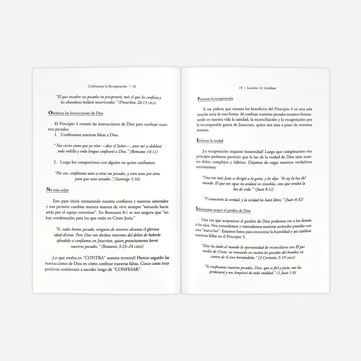 Guía 3 del Participante de Celebremos la Recuperación (Participant’s Guide 3) - Image 3