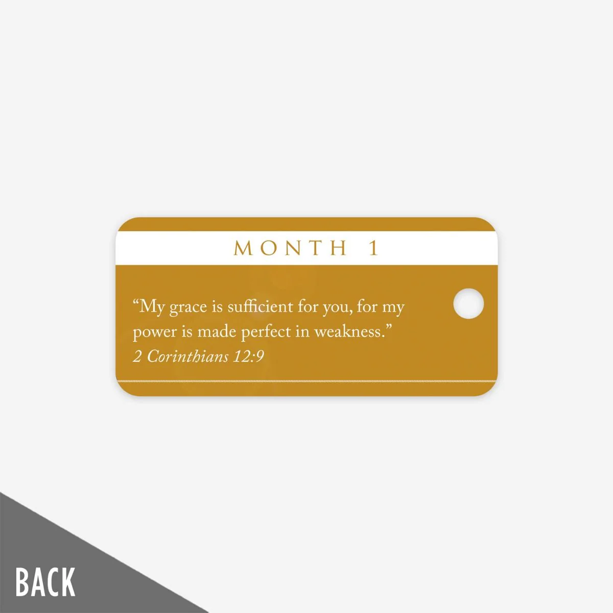 The Landing - Month 1 Milestone Marker (5 Pack) - Image 3