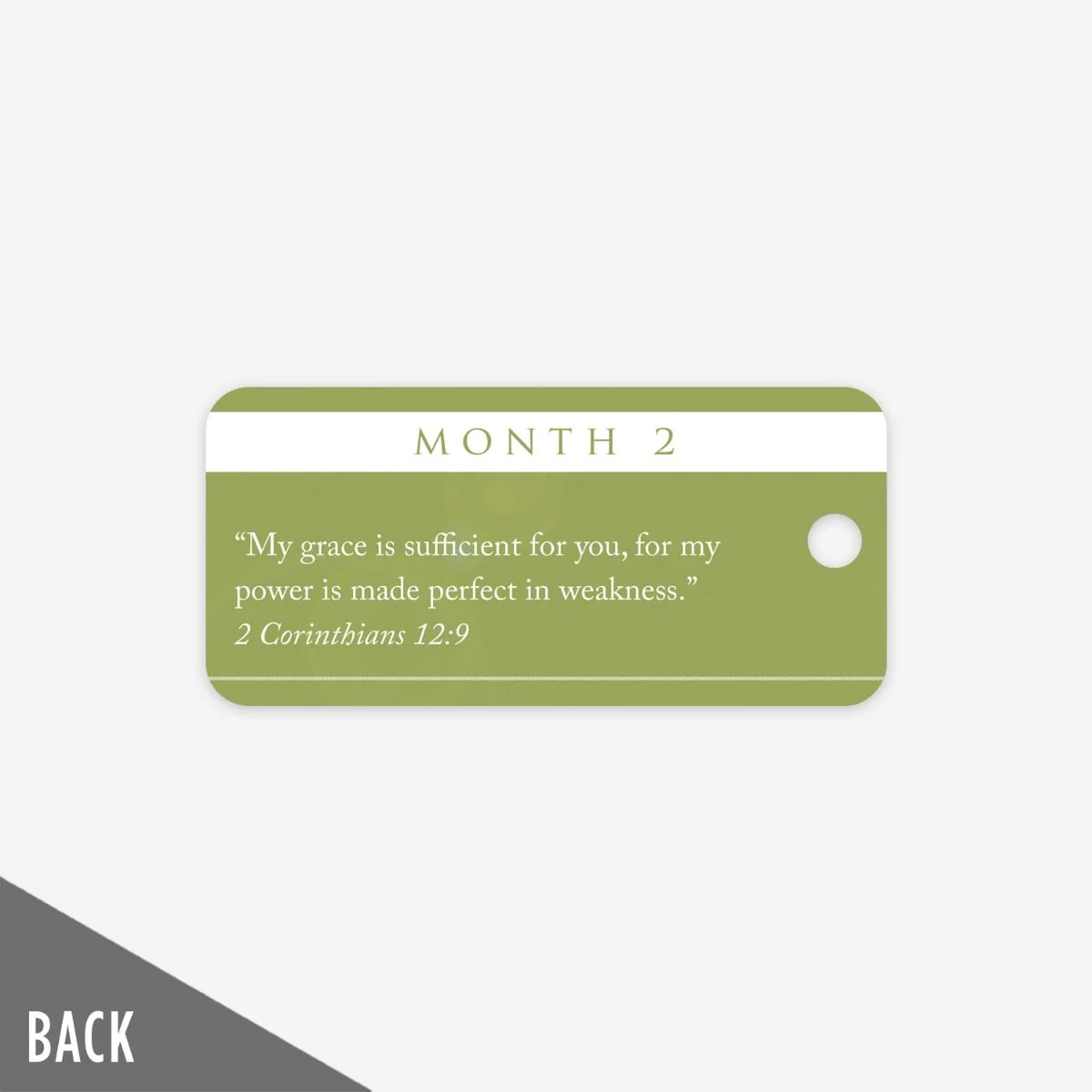 The Landing - Month 2 Milestone Marker (5 Pack) - Image 3