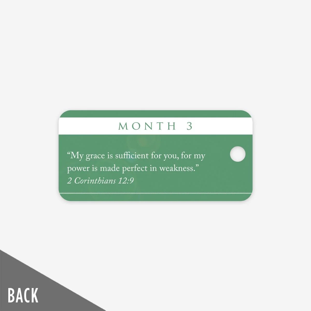 The Landing - Month 3 Milestone Marker (5 Pack) - Image 3