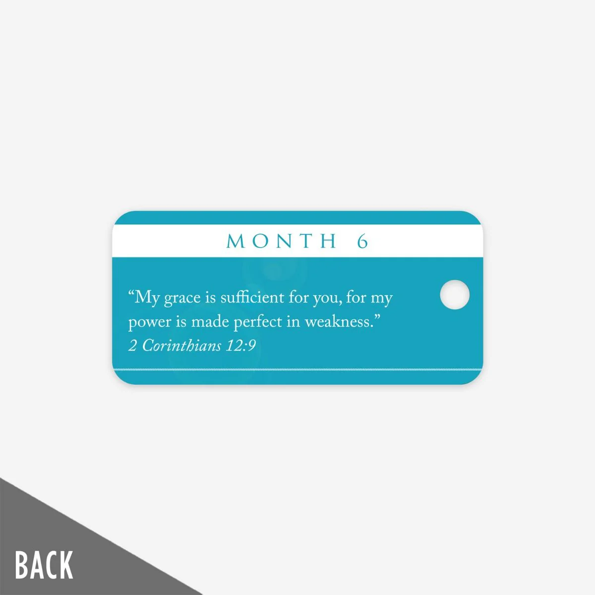 The Landing - Month 6 Milestone Marker (5 Pack) - Image 3