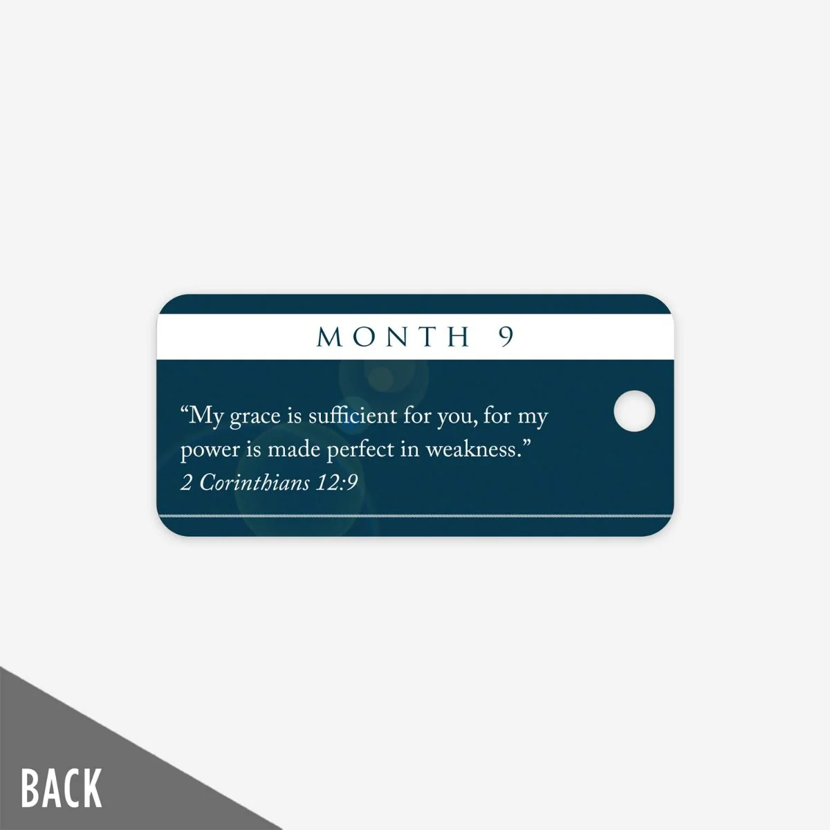 The Landing - Month 9 Milestone Marker (5 Pack) - Image 3