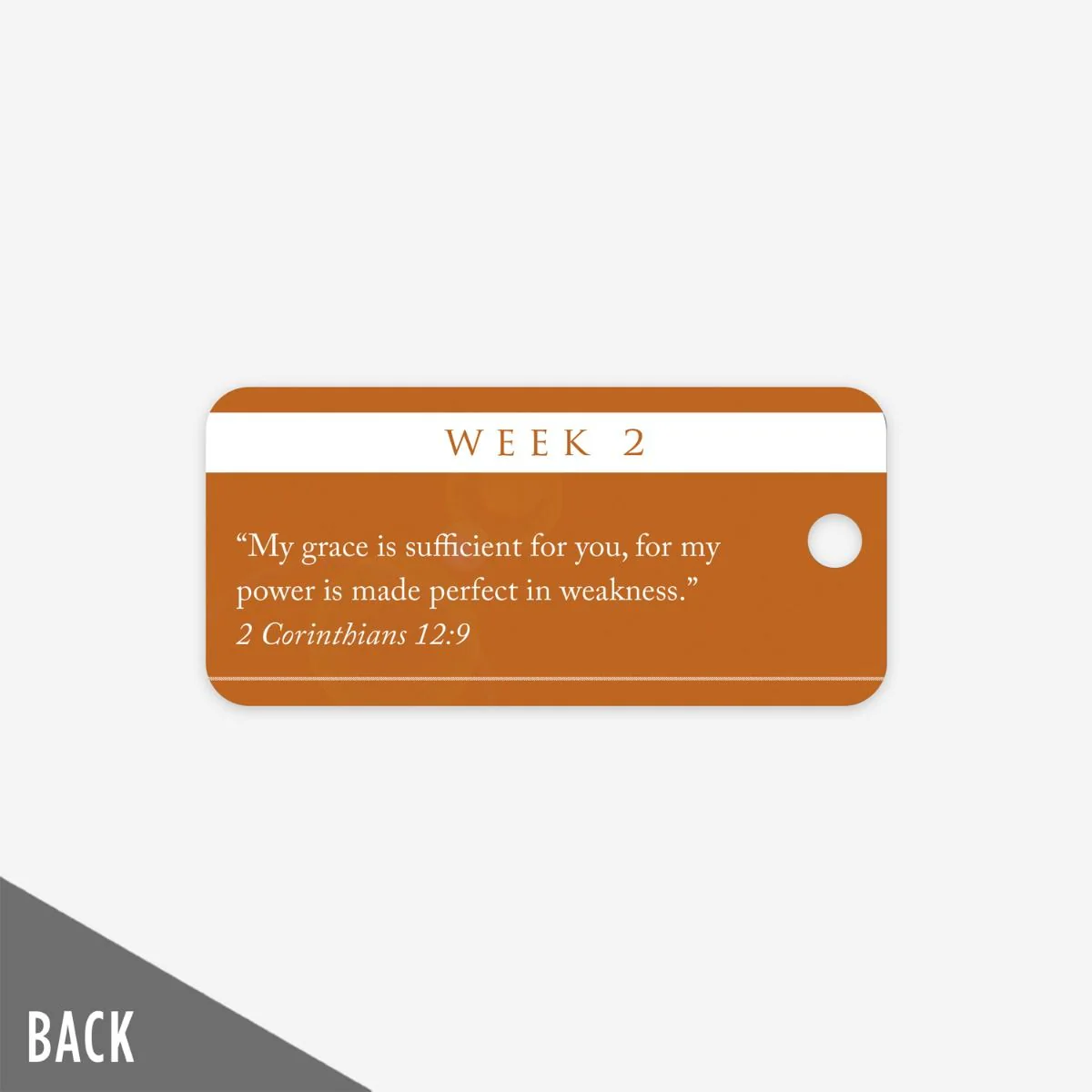 The Landing - Week 2 Milestone Marker (5 Pack) - Image 3